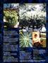 Page: - 8 | High Times