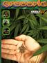 Page: - 81 | High Times