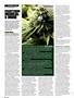 Page: - 86 | High Times