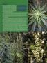Page: - 95 | High Times