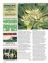 Page: - 102 | High Times