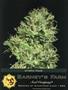 Page: - 119 | High Times