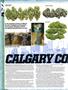 Page: - 18 | High Times