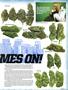 Page: - 19 | High Times