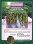 Page: - 33 | High Times