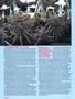 Page: - 56 | High Times