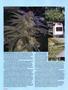 Page: - 58 | High Times