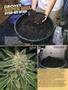 Page: - 96 | High Times