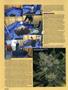 Page: - 98 | High Times
