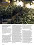 Page: - 102 | High Times