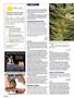 Page: - 106 | High Times