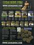 Page: - 2 | High Times
