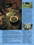 Page: - 50 | High Times