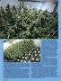 Page: - 52 | High Times