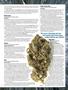 Page: - 57 | High Times