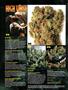 Page: - 8 | High Times
