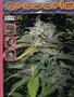 Page: - 81 | High Times