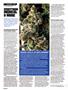 Page: - 86 | High Times