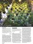 Page: - 102 | High Times