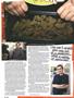 Page: - 36 | High Times