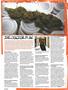 Page: - 38 | High Times