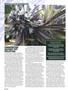 Page: - 46 | High Times