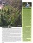 Page: - 50 | High Times