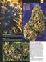 Page: - 54 | High Times
