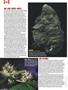 Page: - 58 | High Times