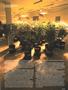 Page: - 67 | High Times