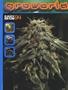 Page: - 81 | High Times
