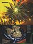 Page: - 82 | High Times