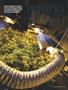 Page: - 94 | High Times