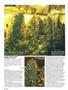 Page: - 102 | High Times