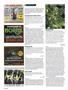 Page: - 104 | High Times