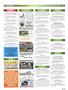 Page: - 115 | High Times