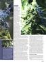 Page: - 37 | High Times