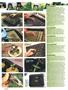 Page: - 42 | High Times