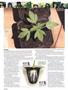 Page: - 46 | High Times