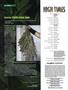 Page: - 6 | High Times