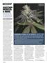 Page: - 86 | High Times
