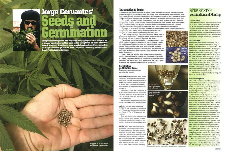 Seeds and Germination