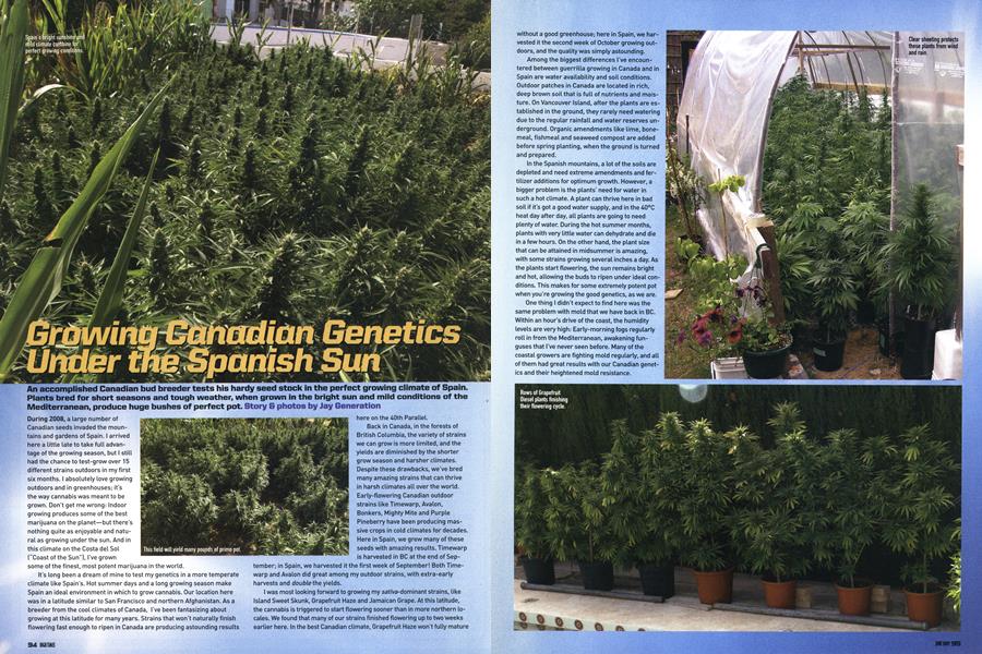 Growing Canadian Genetics Under the Spanish Sun