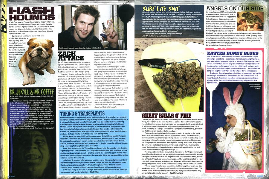 TOKING & TRANSPLANTS