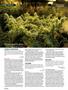 Page: - 102 | High Times