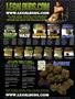 Page: - 2 | High Times