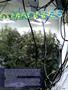 Page: - 49 | High Times