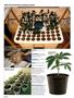 Page: - 56 | High Times
