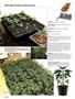 Page: - 58 | High Times
