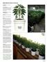 Page: - 63 | High Times